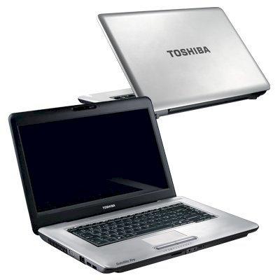 Toshiba Satellite L450D-11X (AMD Athlon X2 Dual Core QL-65 2.10GHz, 4GB RAM, 320GB HDD, ATI Radeon HD 3200, 15.6 inch, Windows 7 Home Premium 64 bit) 