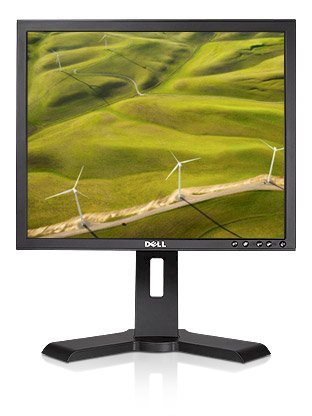Dell LCD P190S 19 inch