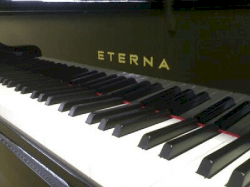 Đàn Upright Piano Eterna