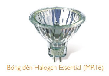 Bóng Haloge Essential Philips GU5.3 36D-50W (Có kiếng chụp )