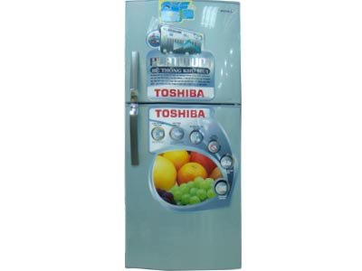 Tủ lạnh Toshiba GR-R19VPP(LB)