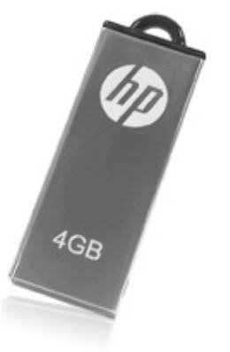 HP v220w 16GB
