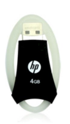 HP v230w 16GB