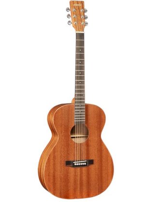 Acoustic Guitar AGW-X3