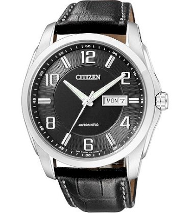 Citizen Mechanical NP4020-01EB