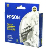 Epson T0341
