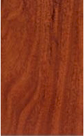 Sàn gỗ EUROHOME EV89
