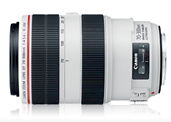 Canon EF 70-300mm F4-5.6 L IS USM
