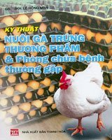 Kỹ thuật nuôi gà trứng thương phẩm và phòng chữa bệnh thường gặp 