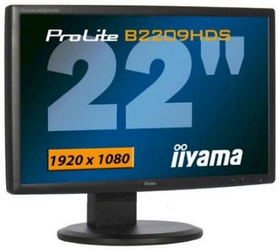 Iiyama ProLite B2209HDSD-1 21.5 inch