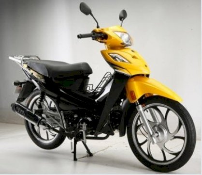 YIN XIANG Cub YX110-CC