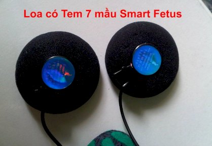 Smart fetus SMF 001