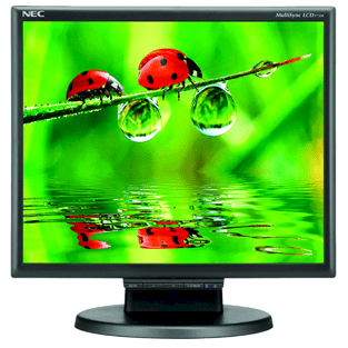 NEC Display Solutions LCD175M-BK 17inch