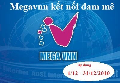 Lắp đặt internet tại thành phố HCM