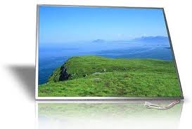 Samsung LCD 14.1 inch (1440 x 1050)