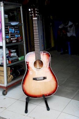 Acoustic guitar VX4