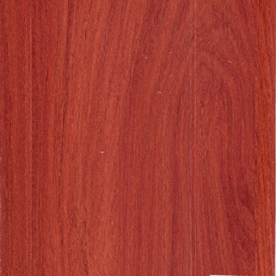 Sàn gỗ SUTRA VT618