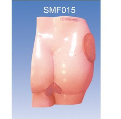 Mô hình tiêm mông SMF015 Suzhou,TQ 