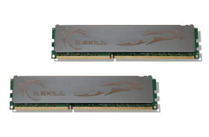 Gskill ECO F3-12800CL8D-4GBECO DDR3 4GB (2GBx2) Bus 1600MHz PC3-12800