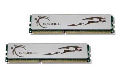 Gskill ECO F3-10666CL7D-8GBECO DDR3 8GB (4GBx2) Bus 1333MHz PC3-10666