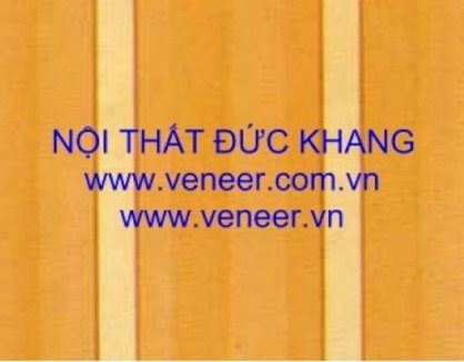 Cửa veneer C002