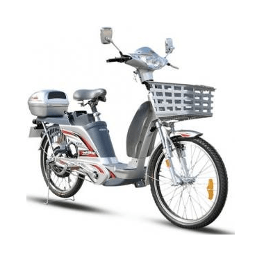 Xe đạp điện ECO-TDL43Z
