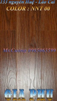 Sàn gỗ Gia Phú NNT00
