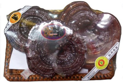 Nấm linh chi đỏ Hàn Quốc 3 tai/1kgs