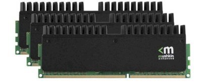 Mushkin Ridgeback 998953 DDR3 12GB (3x4GB) Bus 2000MHz PC3-16000