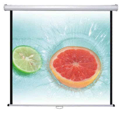 Màn chiếu treo tường Dinon DMS300 170inch