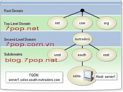 Tên domain .vn
