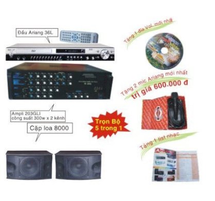 Hệ thống Karaoke (Đầu Arirang 36L, Loa Roland 800, Ampli 203GLI)