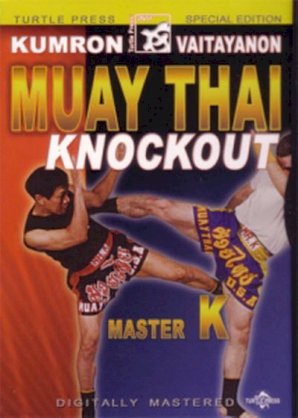 Muay Thai Knockout TD209
