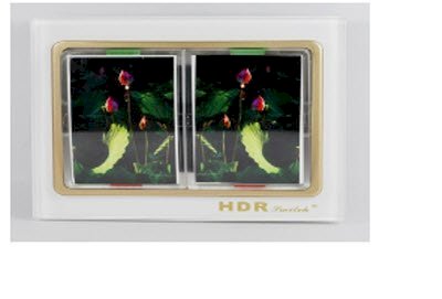 Công tắc đôi 2 chiều có hình ảnh HDR Hmk-A02-D2W-P