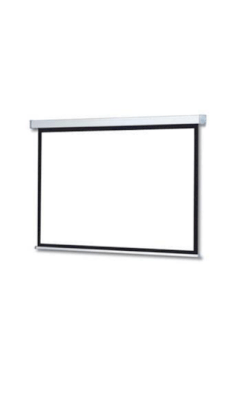Electric Screen ELV500 250 inches
