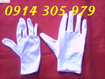 Găng tay thun cotton màu trắng VN 79 -Y7