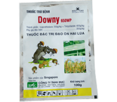 Thuốc trừ bệnh đạo ôn DOWNY 650WP