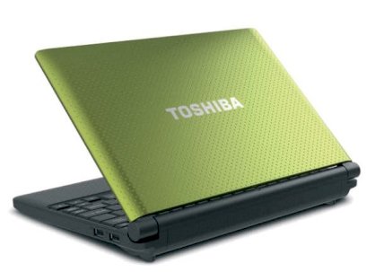 Toshiba NB505-N508NB (Intel Atom N455 1.66GHz, 1GB RAM, 250GB HDD, VGA Intel GMA 3150, 10.1 inch, Windows 7 Starter)