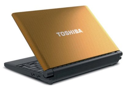 Toshiba NB505-N508NB (Intel Atom N455 1.66GHz, 1GB RAM, 250GB HDD, VGA Intel GMA 3150, 10.1 inch, Windows 7 Starter)