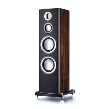 Loa Monitor Audio Platinum PL300 (300 W)
