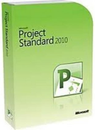 Project Standard 2010