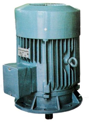 Động cơ điện 3 pha Hem 3K280M6-75KW