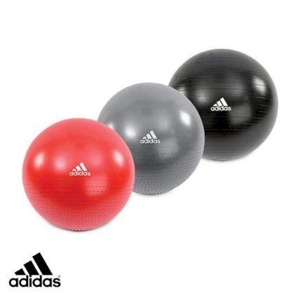 Bóng thể dục 65cm Adidas AD-12240