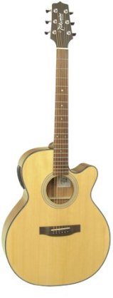 Guitar Takamine ED50C NS