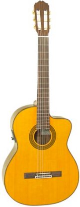 Guitar Takamine ED36SC