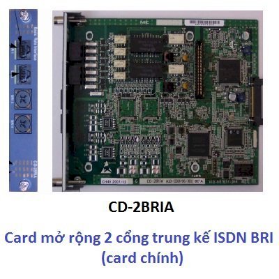 NEC CD-2BRIA Card mở rộng 2 cổng trung kế ISDN BRI