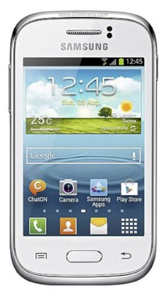 Samsung Galaxy Young S6310 (GT-S6310)