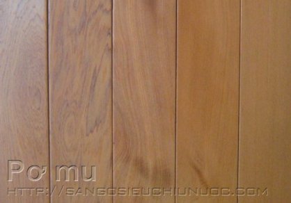 Sàn gỗ Pơ Mu PU900