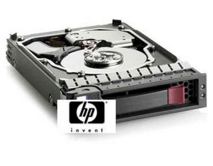 HP 146GB 10000 RPM Dual port SAS (507283-001)