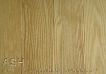 Sàn gỗ ASH600
